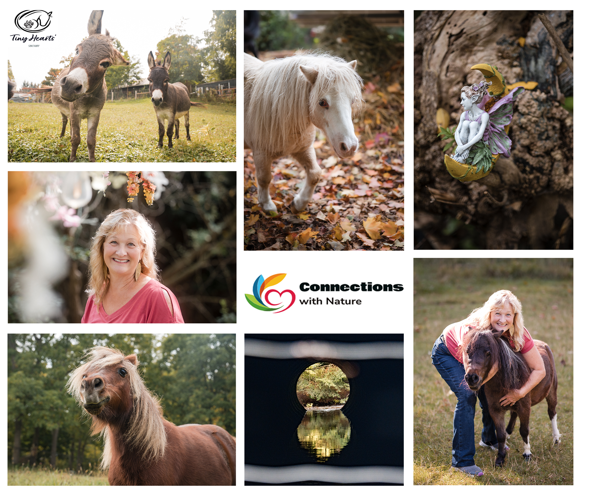 forest-retreat-brantford